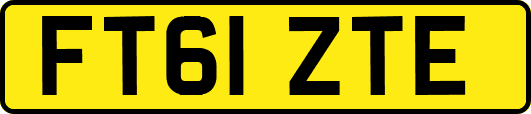 FT61ZTE