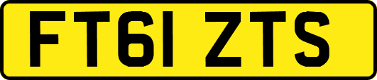 FT61ZTS