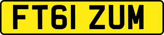 FT61ZUM