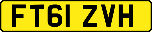 FT61ZVH