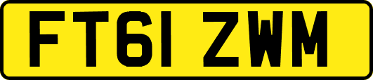 FT61ZWM