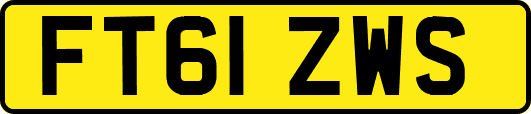 FT61ZWS