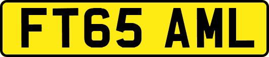FT65AML