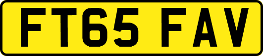 FT65FAV