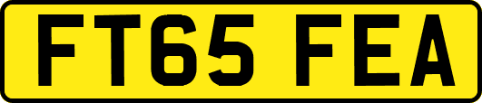 FT65FEA