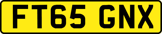 FT65GNX