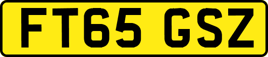 FT65GSZ
