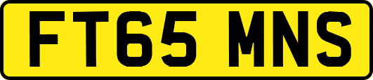 FT65MNS