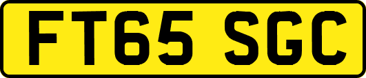 FT65SGC