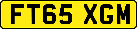 FT65XGM