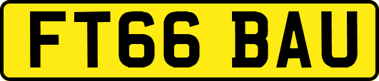 FT66BAU