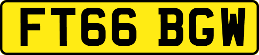 FT66BGW