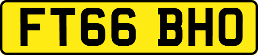 FT66BHO
