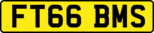 FT66BMS