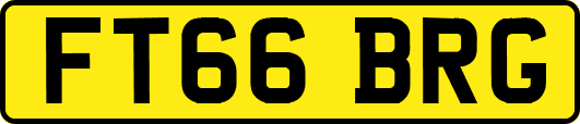 FT66BRG