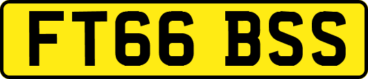 FT66BSS