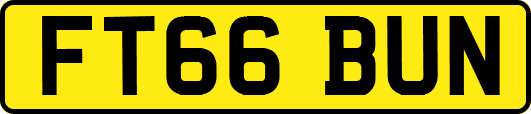 FT66BUN
