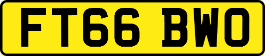 FT66BWO