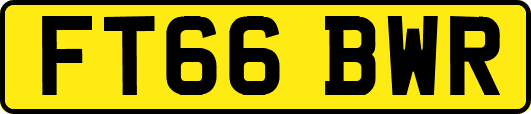 FT66BWR