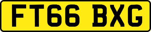 FT66BXG