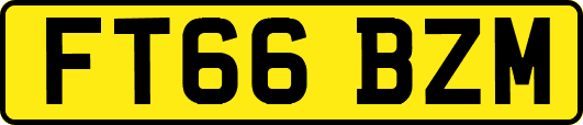 FT66BZM