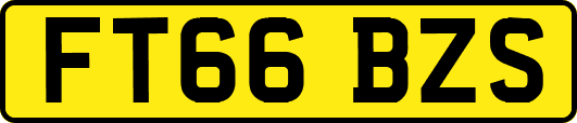 FT66BZS