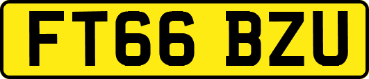FT66BZU