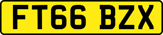 FT66BZX