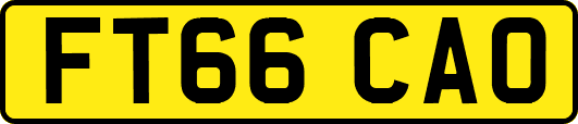 FT66CAO