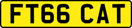 FT66CAT