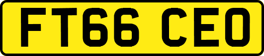 FT66CEO
