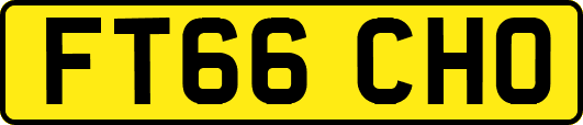 FT66CHO