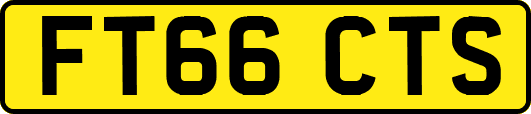 FT66CTS