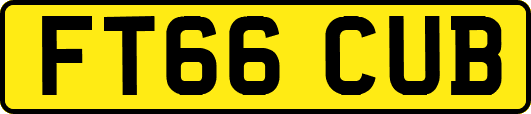 FT66CUB