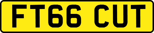 FT66CUT