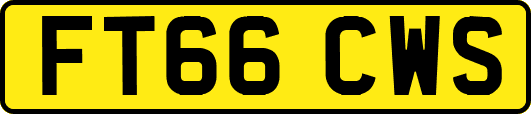 FT66CWS