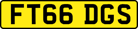 FT66DGS
