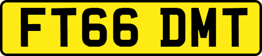 FT66DMT