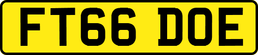 FT66DOE