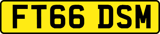 FT66DSM