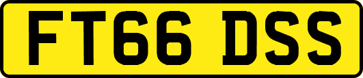 FT66DSS