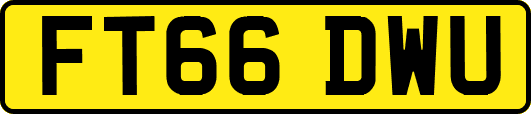 FT66DWU