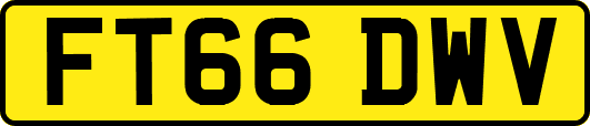 FT66DWV