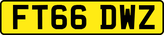 FT66DWZ