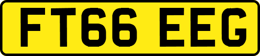 FT66EEG