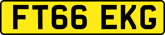 FT66EKG