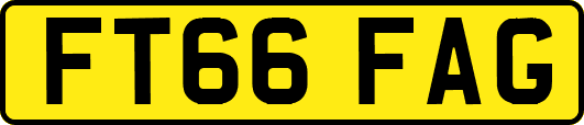 FT66FAG