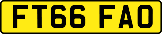 FT66FAO