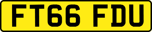 FT66FDU