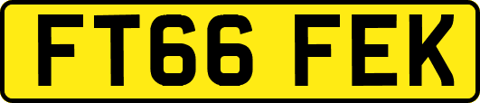 FT66FEK